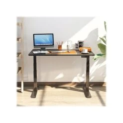 FlexiSpot E7 24"-49"H Adjustable Standing Desk, Black (E7BR5528B)