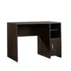 Sauder Beginnings Desk (415817)