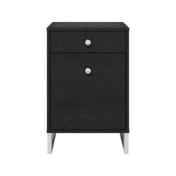 Whalen Asherton 2-Drawer Vertical File Cabinet, Letter/Legal, Inkwood Black, 19" (SPUS-ASHF-BM)