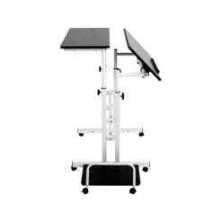 Mind Reader 27" Rolling Standing Desk, Black/White (SDROLL-BKWH)