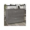 Bush Business Furniture Hybrid 2-Drawer Lateral File Cabinet, Letter/Legal, Platinum Gray, 36" (HYF136PGSU-Z)