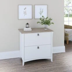 Bush Furniture Salinas 2-Drawer Lateral File Cabinet, Letter/Legal, Shiplap Gray/Pure White, 31.73" (SAF132G2W-03)