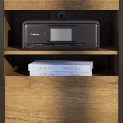 Bush Furniture Latitude Printer Stand File Cabinet, Rustic Brown Embossed (LAF124RB-03) -Ergot Office Furniture Shop sp47156580 s7