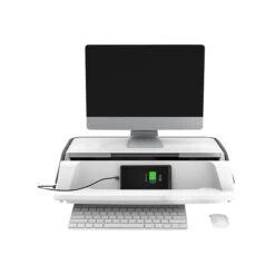 Flexispot MonitorStand Workstation, 17"-30" Monitor, Gray (S6G)